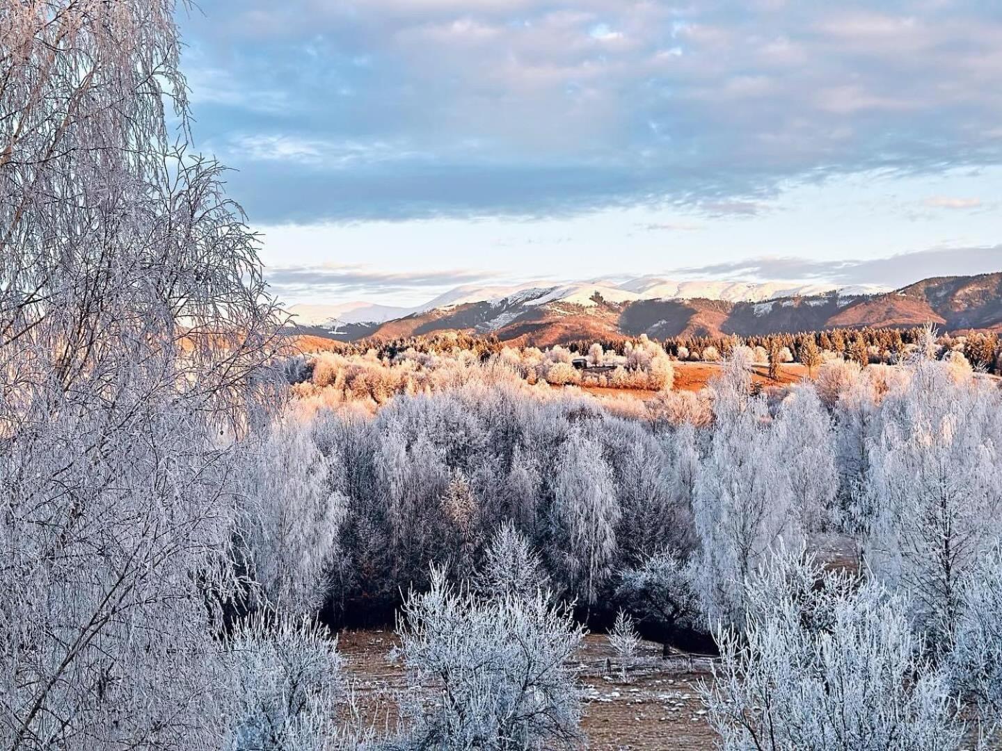 Pensiunea Gradina Ascunsa Bughea de Jos Exteriér fotografie
