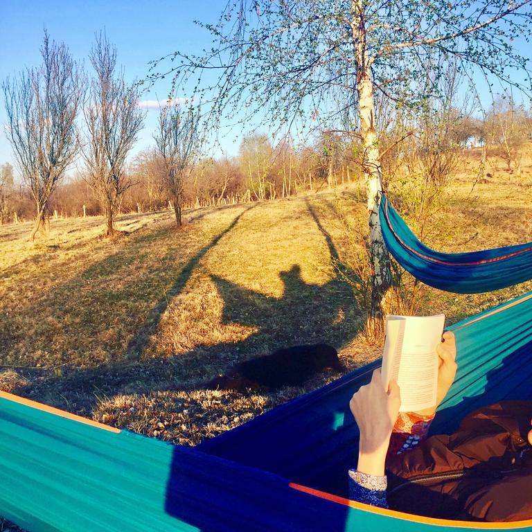 Pensiunea Gradina Ascunsa Bughea de Jos Exteriér fotografie